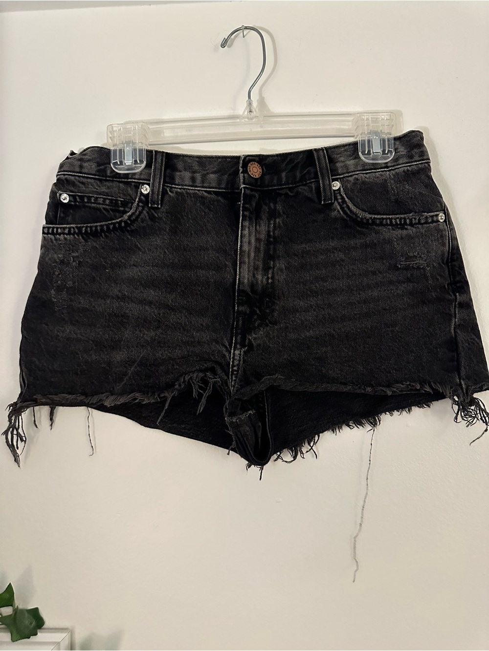BDG Black Frayed Hem Denim Shorts